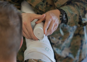 MRF-D medical staff learn about venomous snakes