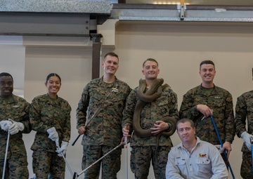 MRF-D medical staff learn about venomous snakes