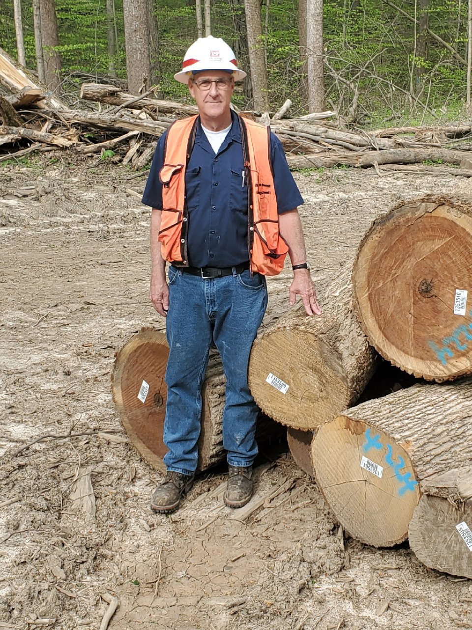 District foresters see the value in trees