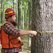 District foresters see the value in trees