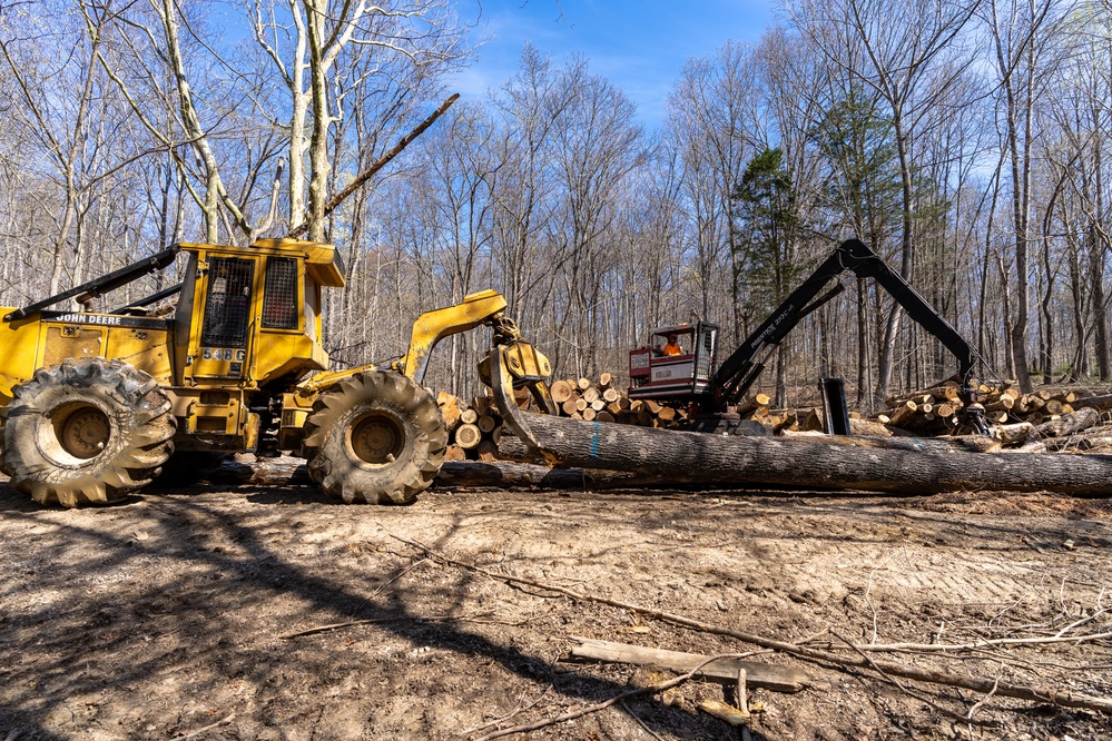 District foresters see the value in trees