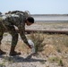 Eyes on the Flightline