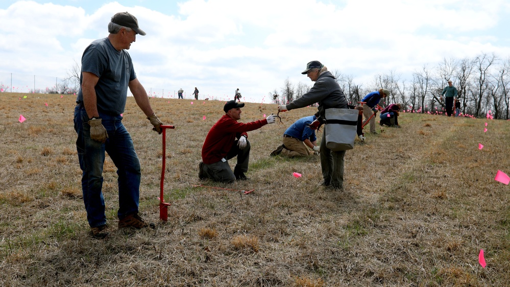 BGAD White Oak Progeny Test Site [Image 2 of 4]