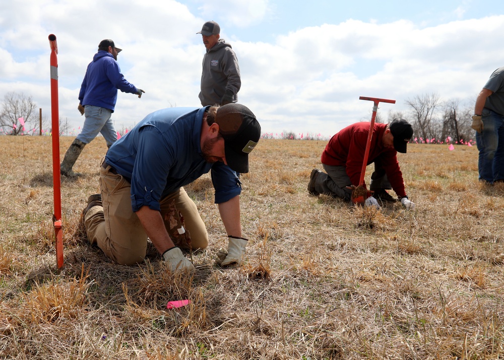 BGAD White Oak Progeny Test Site [Image 3 of 4]