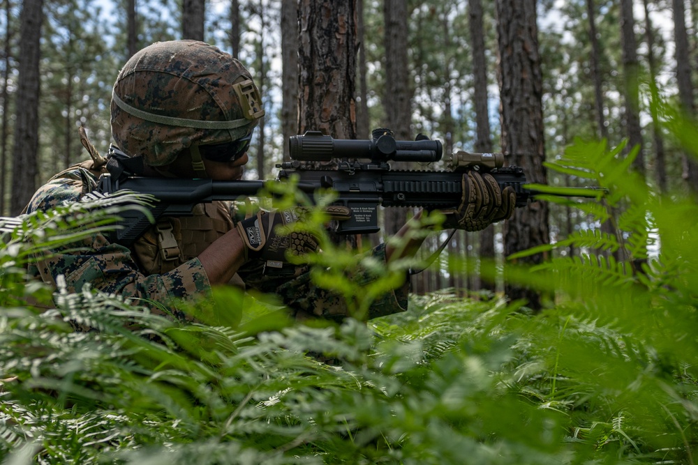 1st Battalion 23rd Marines conduct a Mission Rehearsal Exercise