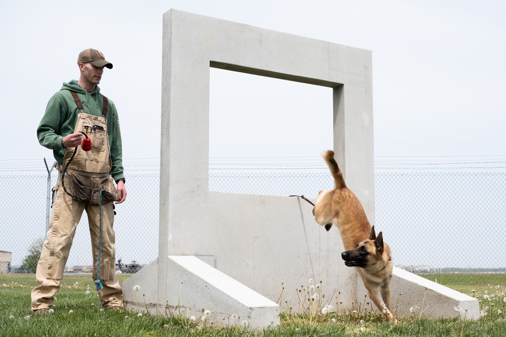 Whiteman Air Force Base Military Working Dogs Training