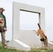 Whiteman Air Force Base Military Working Dogs Training