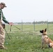 Whiteman Air Force Base Military Working Dogs Training