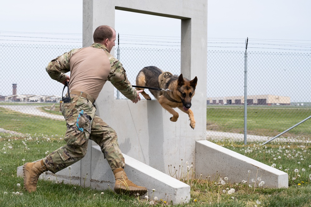 Whiteman Air Force Base Military Working Dogs Training