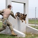 Whiteman Air Force Base Military Working Dogs Training