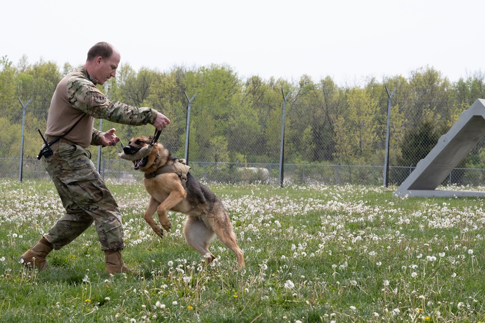 Whiteman Air Force Base Military Working Dogs Training