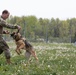 Whiteman Air Force Base Military Working Dogs Training