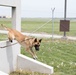 Whiteman Air Force Base Military Working Dogs Training