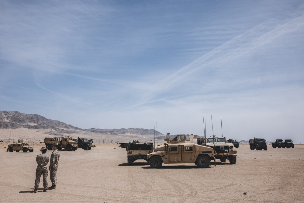 U.S. Marines with Combat Logistics Battalion 24 Practice Camouflage Techniques