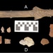 Fort McCoy ArtiFACT: Artifact identification