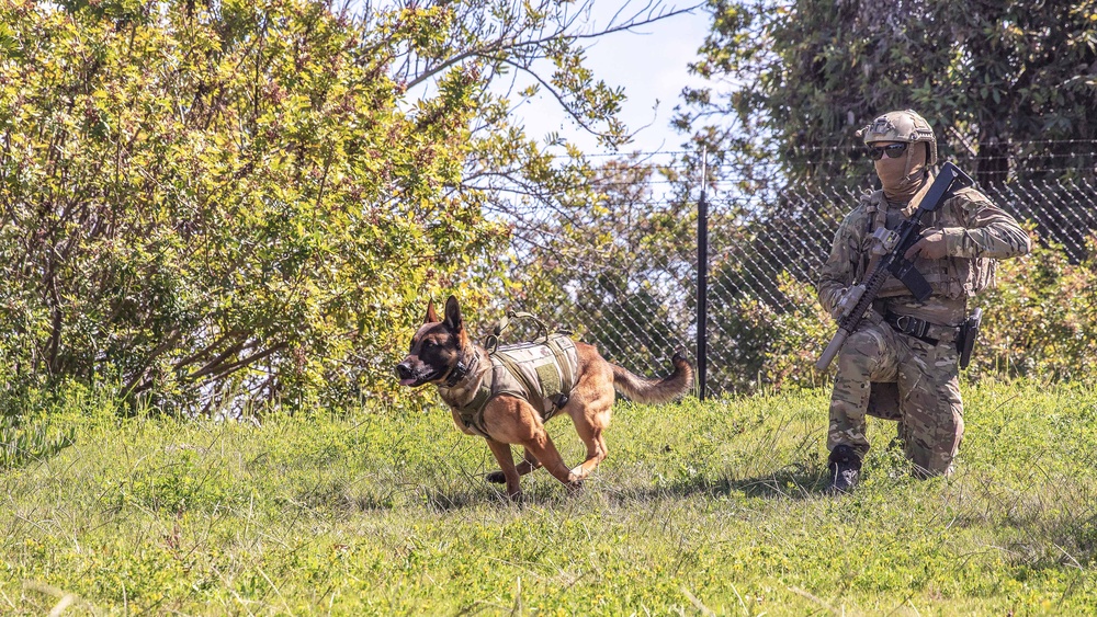 SEAL K-9 TEAM