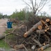 Tornado Debris Ready to be Collected in Covington