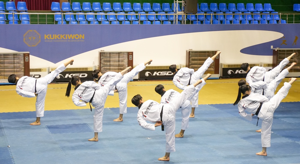 USAG Yongsan-Casey Soldiers &amp; KATUSAs Tour the Taekwondo World Headquarters &amp; the Blue House