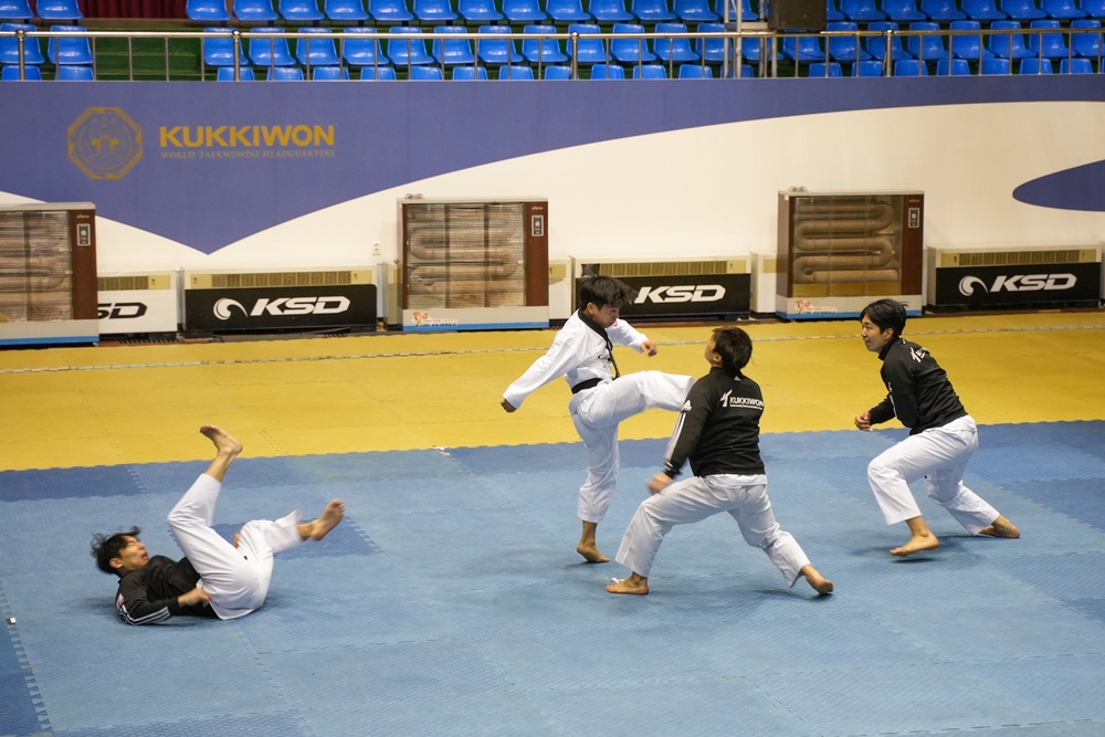 USAG Yongsan-Casey Soldiers &amp; KATUSAs Tour the Taekwondo World Headquarters &amp; the Blue House