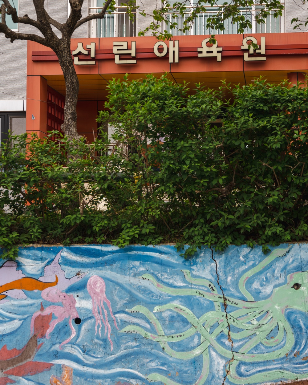 The Pohang-Sunrin Orphanage showcases its residential accommodations and history