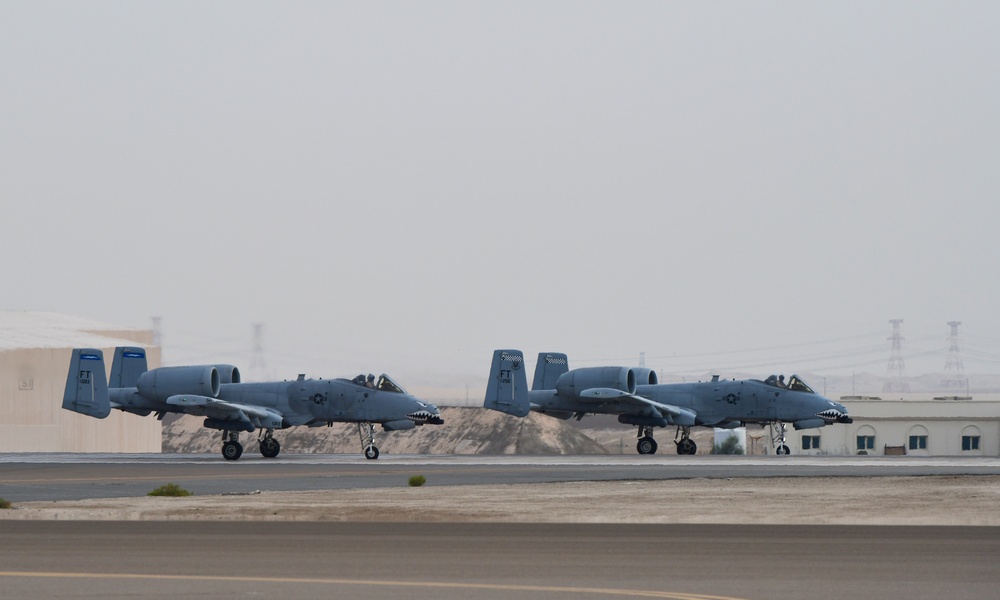 75 EFS conduct mission with partner nation