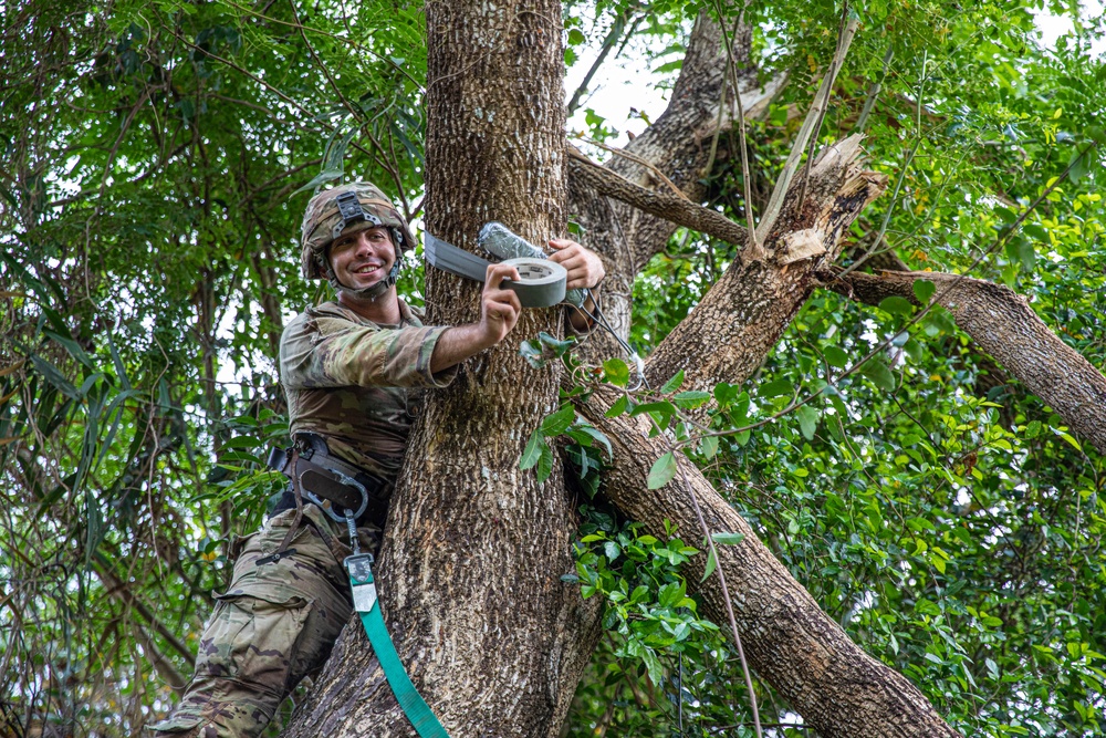 65th BEB timber cutting conduct timber cutting on Fort Magsaysay, Philippines