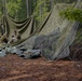 HQ Battalion FEX