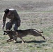 Military working dog teams compete for Top Dog honors at Fort Drum