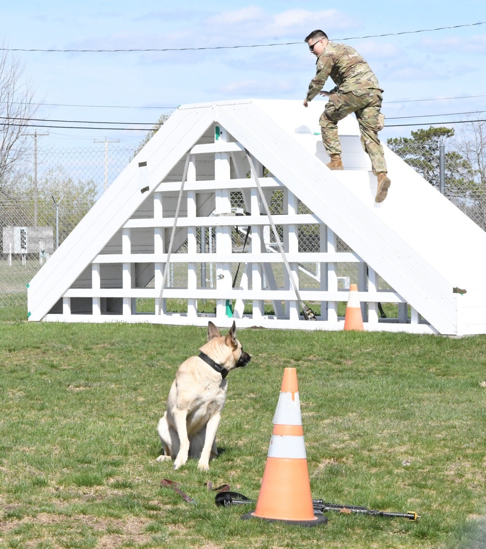 Military working dog teams compete for Top Dog honors at Fort Drum