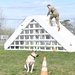 Military working dog teams compete for Top Dog honors at Fort Drum