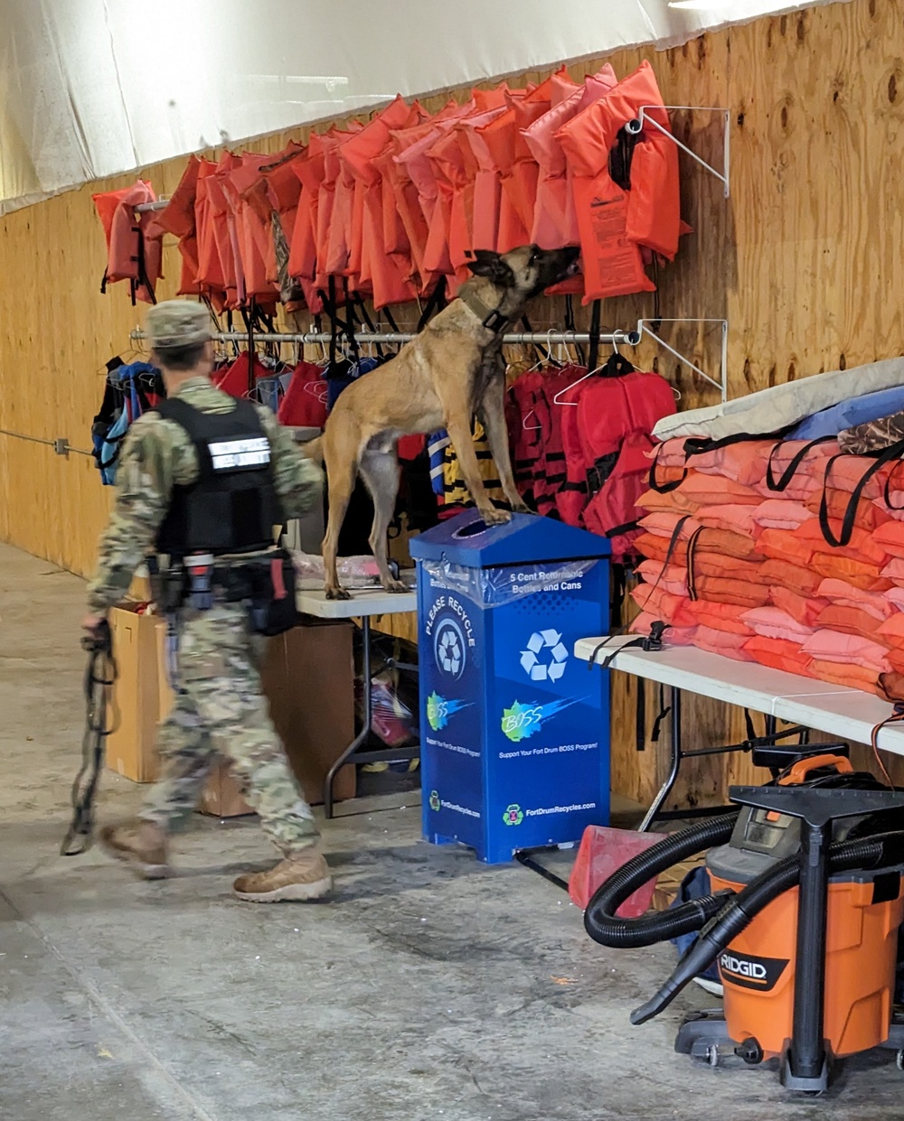 Military working dog teams compete for Top Dog honors at Fort Drum