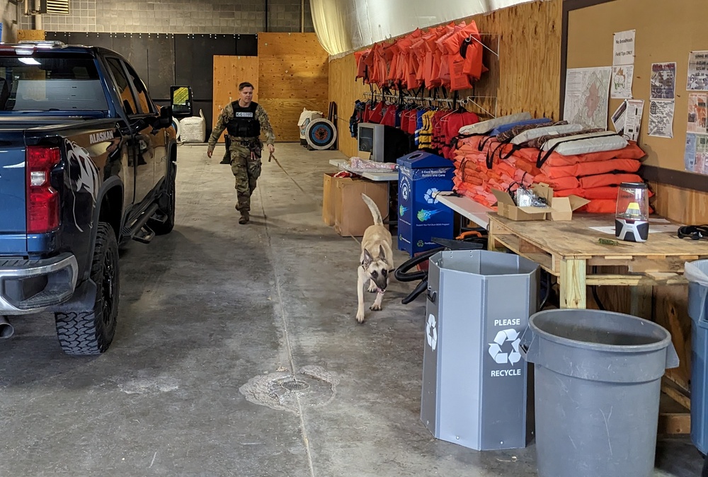 Military working dog teams compete for Top Dog honors at Fort Drum