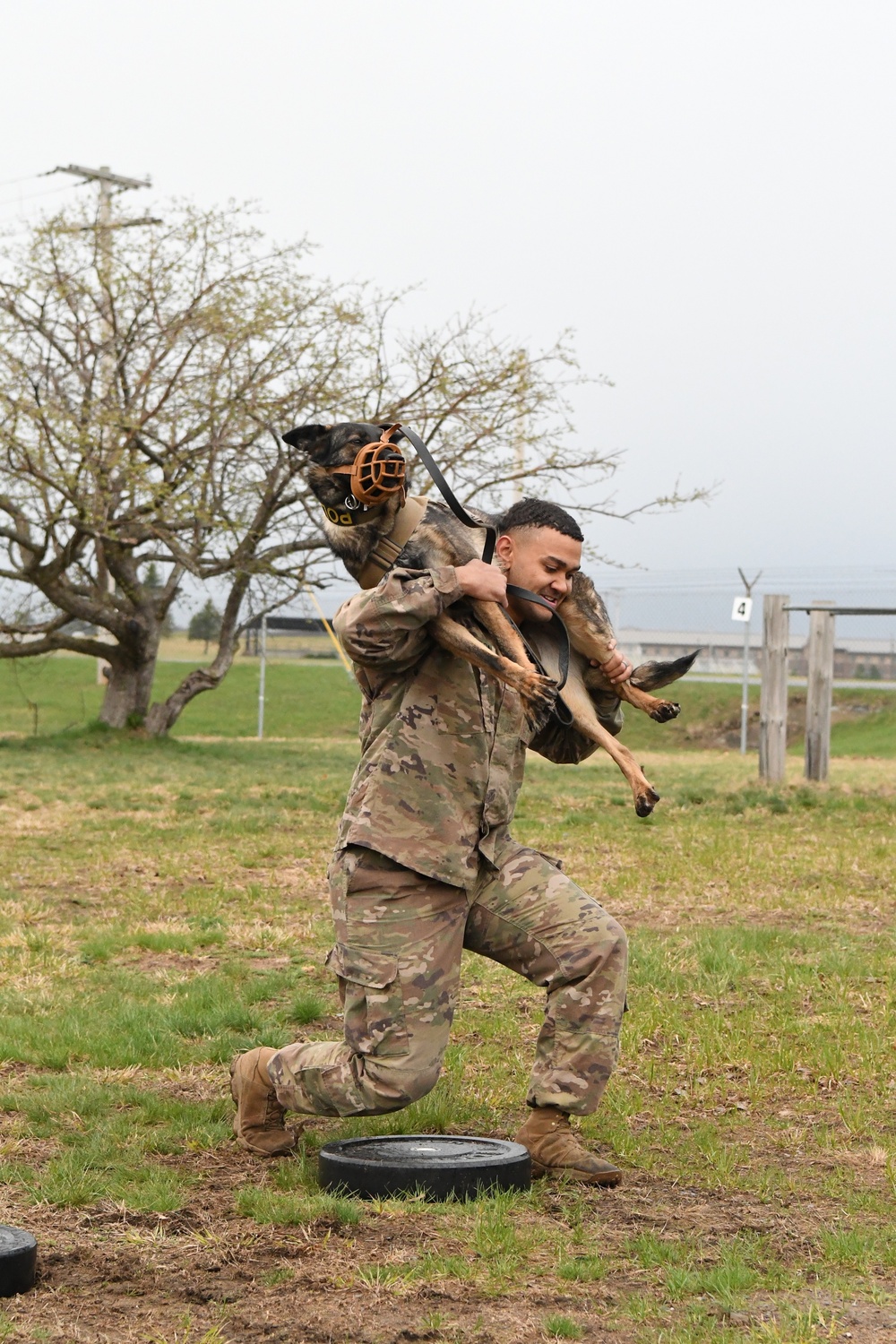 Military working dog teams compete for Top Dog honors at Fort Drum