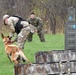 Military working dog teams compete for Top Dog honors at Fort Drum