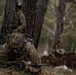 173rd Airborne Brigade conducts live-fire and tactical training in Slovenia