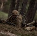 173rd Airborne Brigade conducts live-fire and tactical training in Slovenia