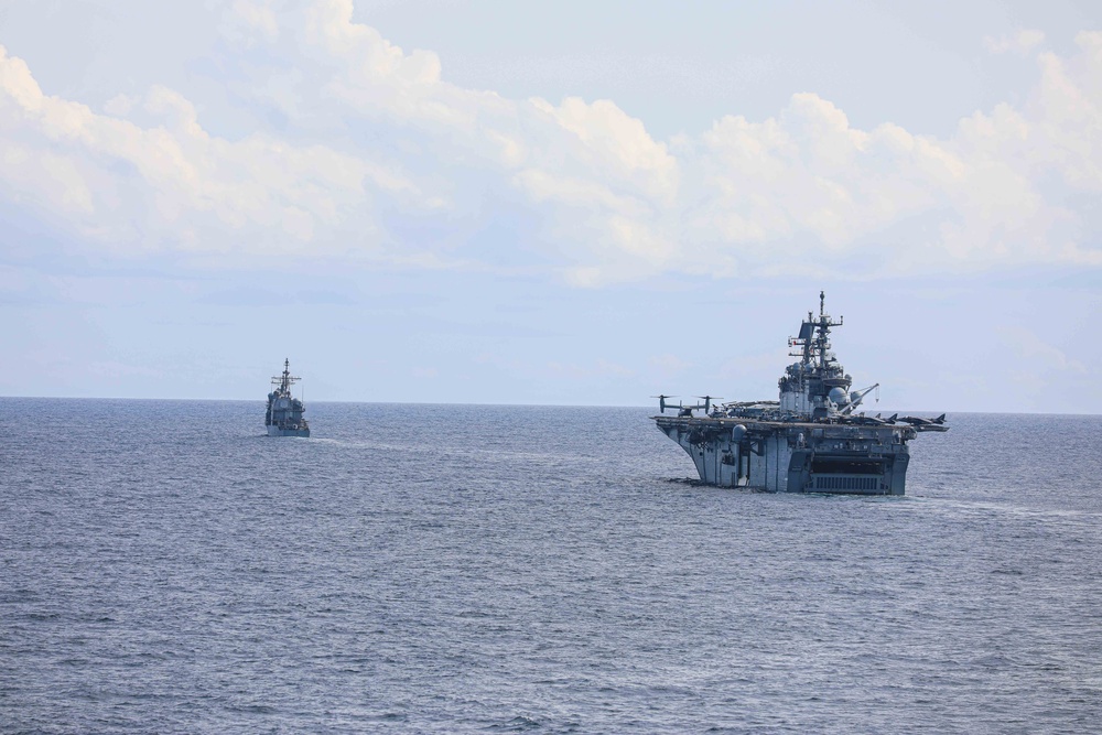 USS Carter Hall Sails in Formation