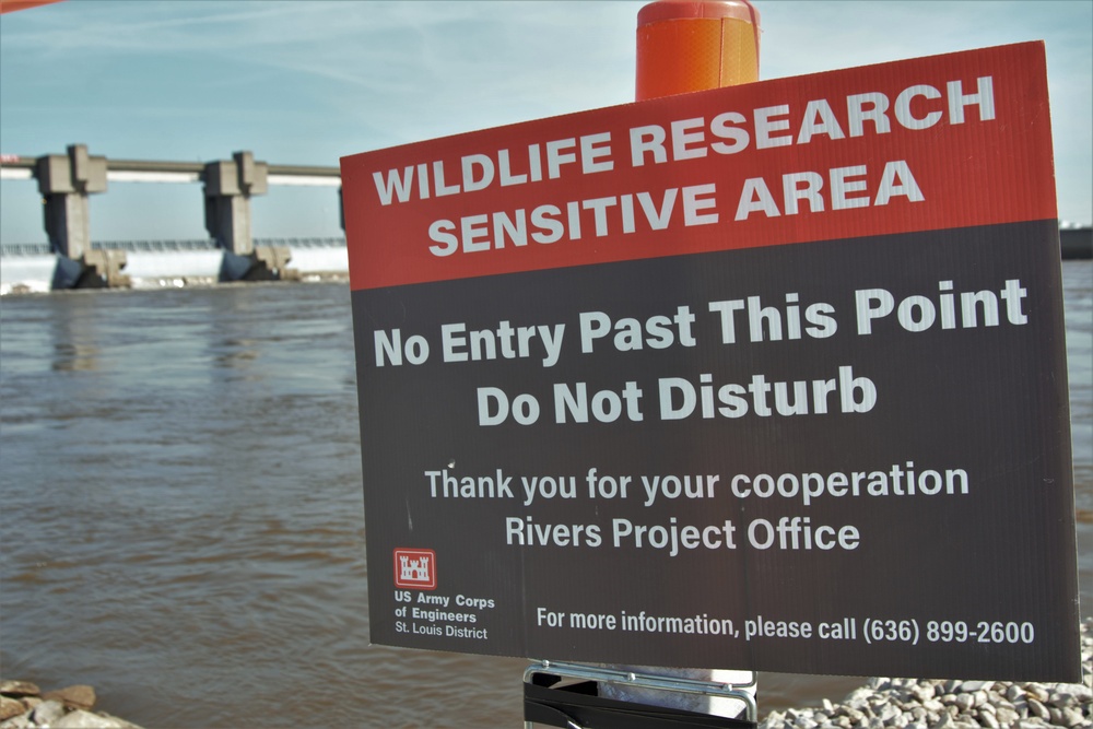 Wildlife Research Sensitive Area Designated