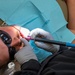 A day at the dentist