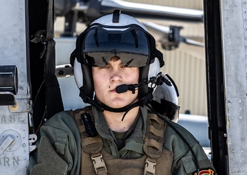 HMLA-367 Travels to National Training Center