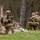 173rd Airborne Brigade conducts live-fire and tactical training in Slovenia