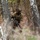 173rd Airborne Brigade conducts live-fire and tactical training in Slovenia