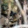 173rd Airborne Brigade Conducts Live-fire and Tactical Training in Slovenia