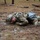 New Jersey Army National Guard Best Warrior Competition 2023