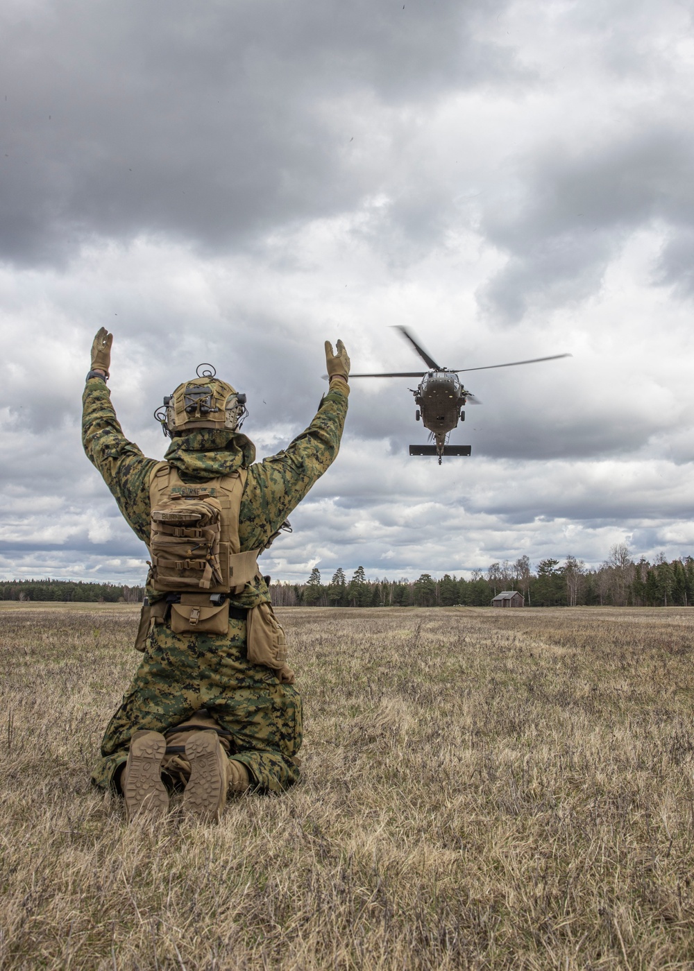 U.S. Marines with 2/8 Conduct an Air Assaults with Swedish Armed Forces