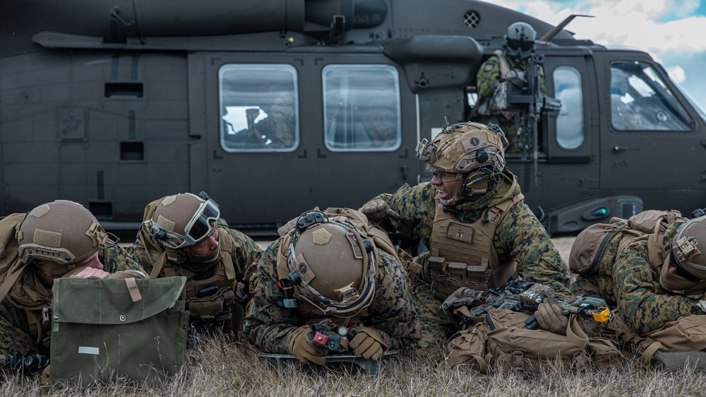 U.S. Marines with 2/8 Conduct an Air Assaults with Swedish Armed Forces