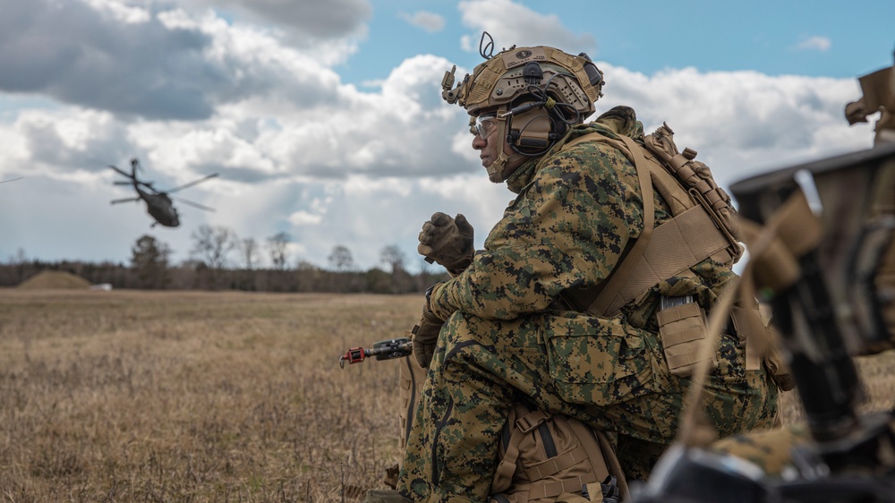U.S. Marines with 2/8 Conduct an Air Assaults with Swedish Armed Forces