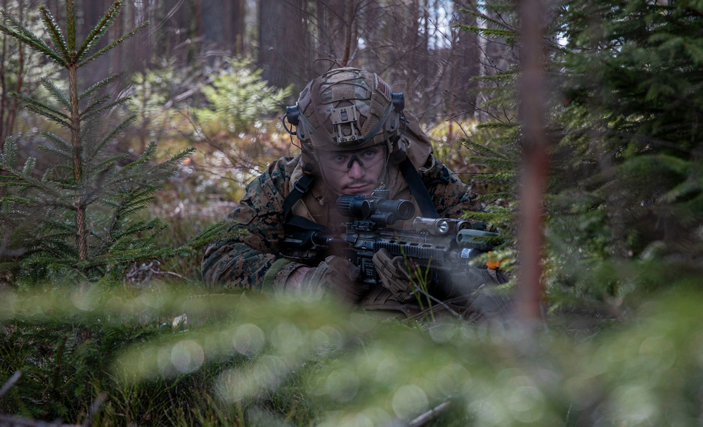 U.S. Marines with 2/8 Conduct an Air Assaults with Swedish Armed Forces