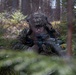 U.S. Marines with 2/8 Conduct an Air Assaults with Swedish Armed Forces