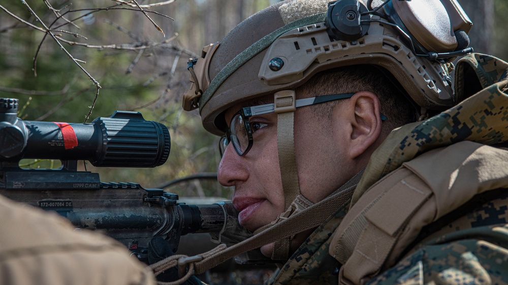 U.S. Marines with 2/8 Conduct an Air Assaults with Swedish Armed Forces